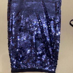 J. Crew Collection Blue Sequins Festive Skirt Size 6